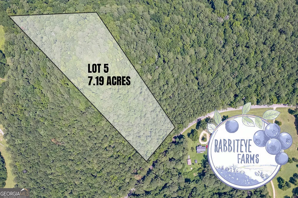 LOT 5 Haynes RD Moreland, GA 30259