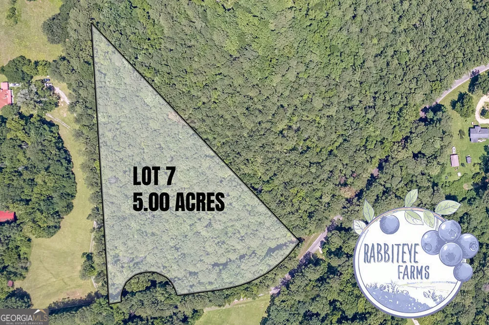 LOT 7 Haynes RD Moreland, GA 30259