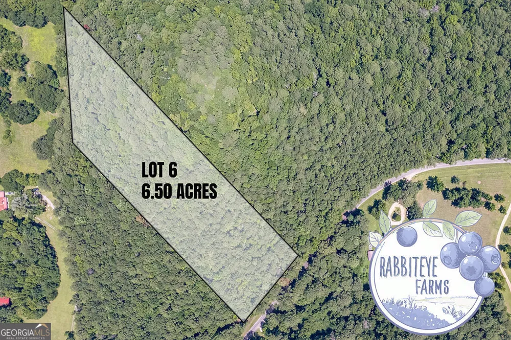 LOT 6 Haynes RD Moreland, GA 30259