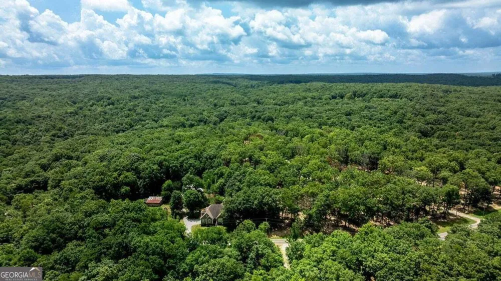 1390 Tatum Gulf RD Cloudland, GA 30731