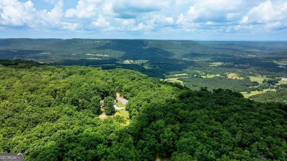 1390 Tatum Gulf RD Cloudland, GA 30731