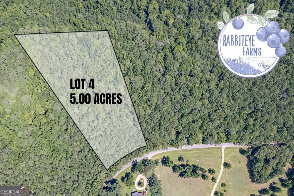 LOT 4 Haynes RD Moreland, GA 30259