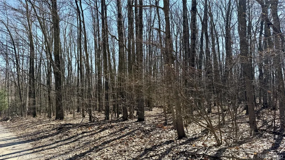 304 Balsam Road Roscommon Village, MI 48653