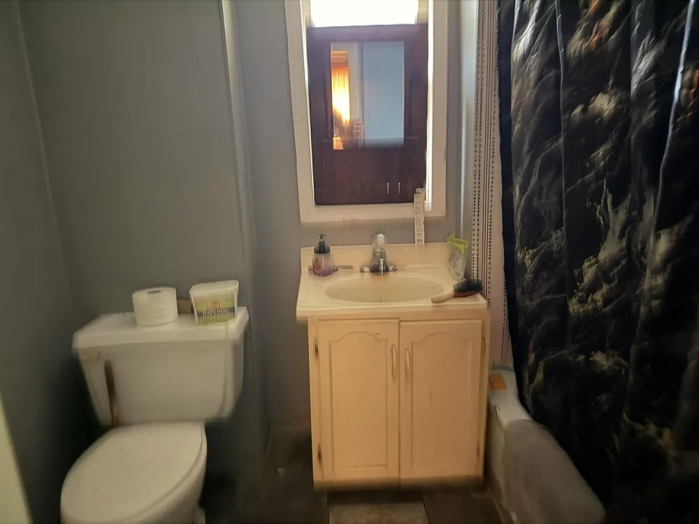 690 E Essex Drive Yates Township, MI 49642