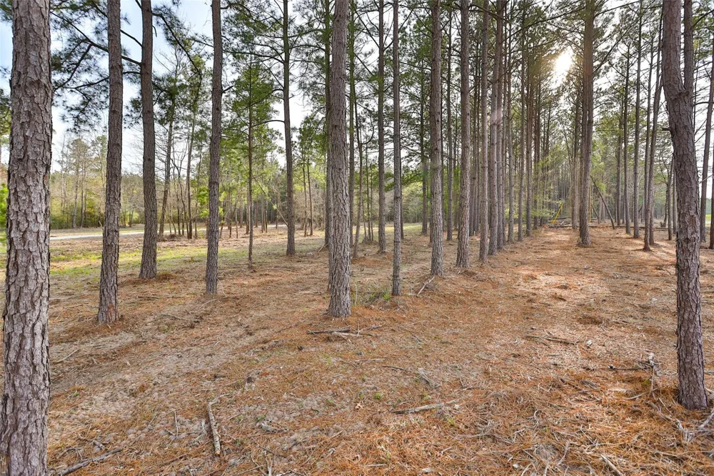 450 Williamson Way Way Lovelady, TX 75851