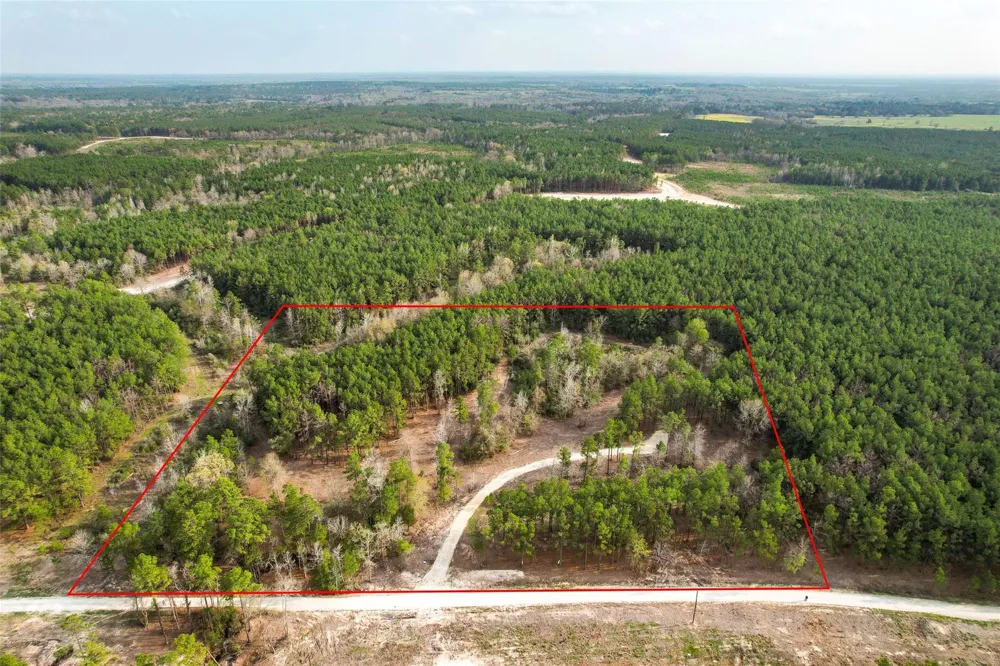 450 Williamson Way Way Lovelady, TX 75851