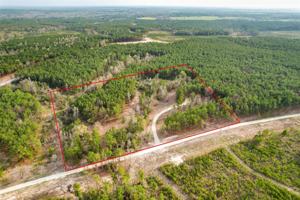 450 Williamson Way Way Lovelady, TX 75851