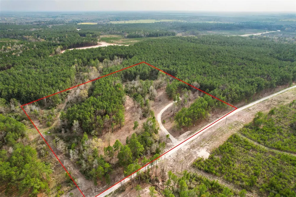 450 Williamson Way Way Lovelady, TX 75851