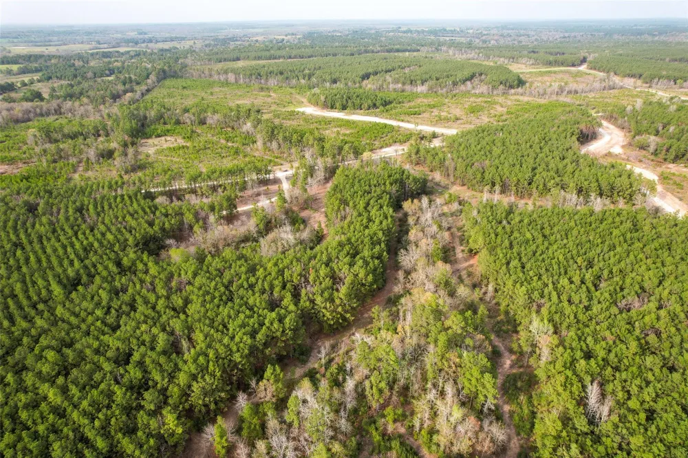 450 Williamson Way Way Lovelady, TX 75851