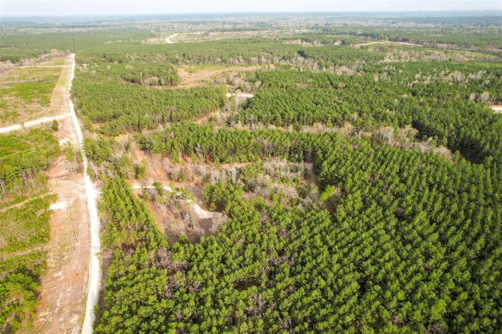 450 Williamson Way Way Lovelady, TX 75851
