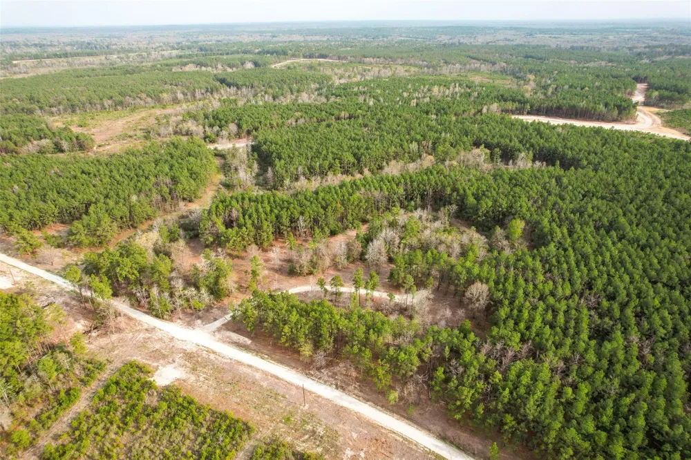 450 Williamson Way Way Lovelady, TX 75851