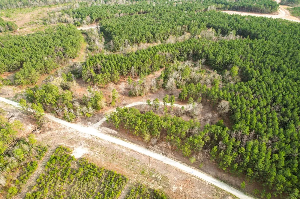 450 Williamson Way Way Lovelady, TX 75851