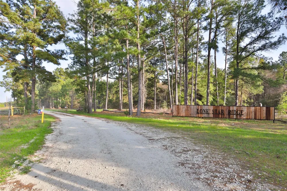 450 Williamson Way Way Lovelady, TX 75851