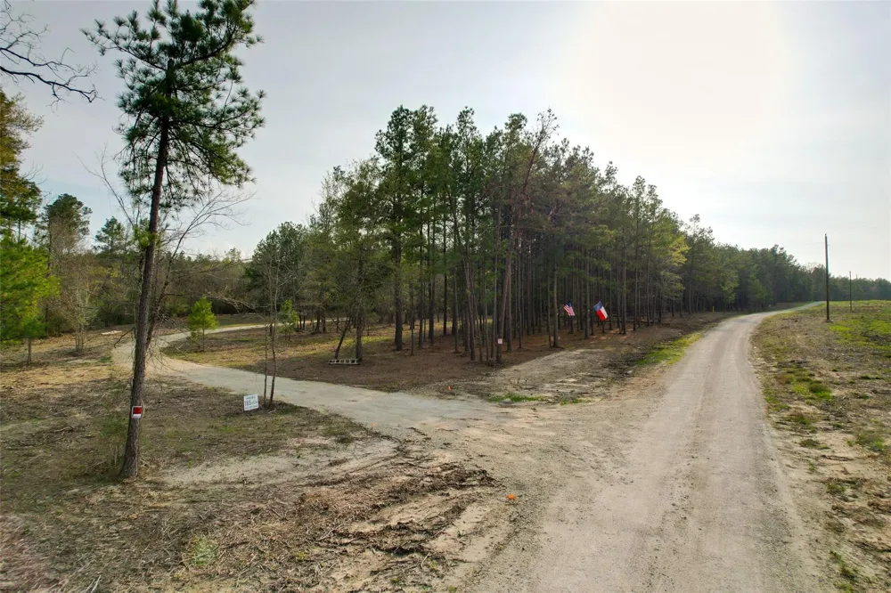 450 Williamson Way Way Lovelady, TX 75851