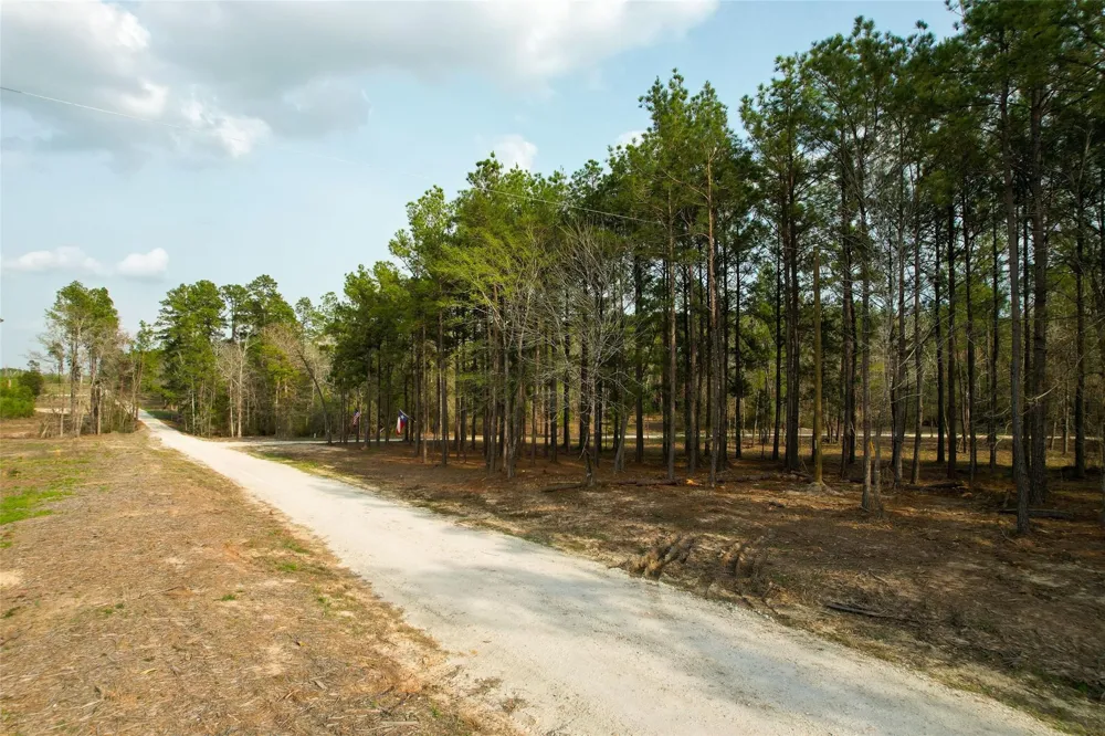 450 Williamson Way Way Lovelady, TX 75851