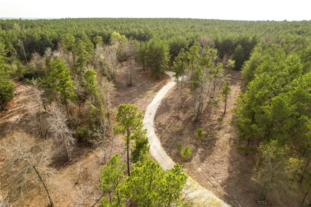 450 Williamson Way Way Lovelady, TX 75851