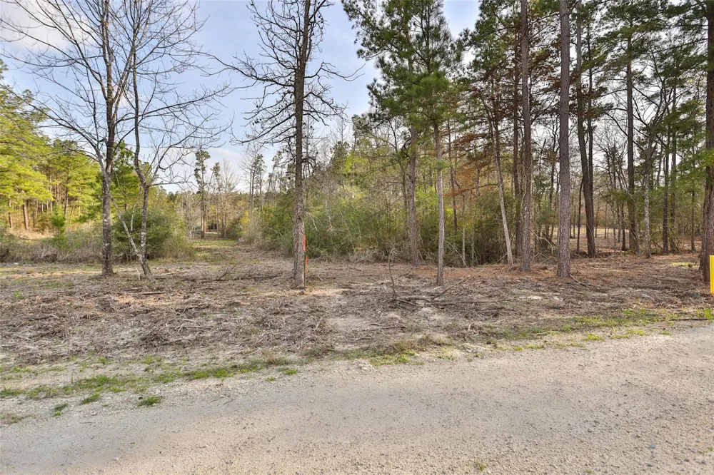 450 Williamson Way Way Lovelady, TX 75851