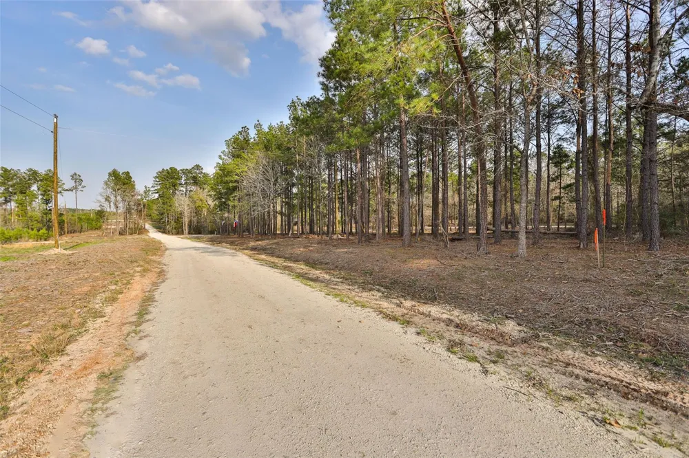 450 Williamson Way Way Lovelady, TX 75851