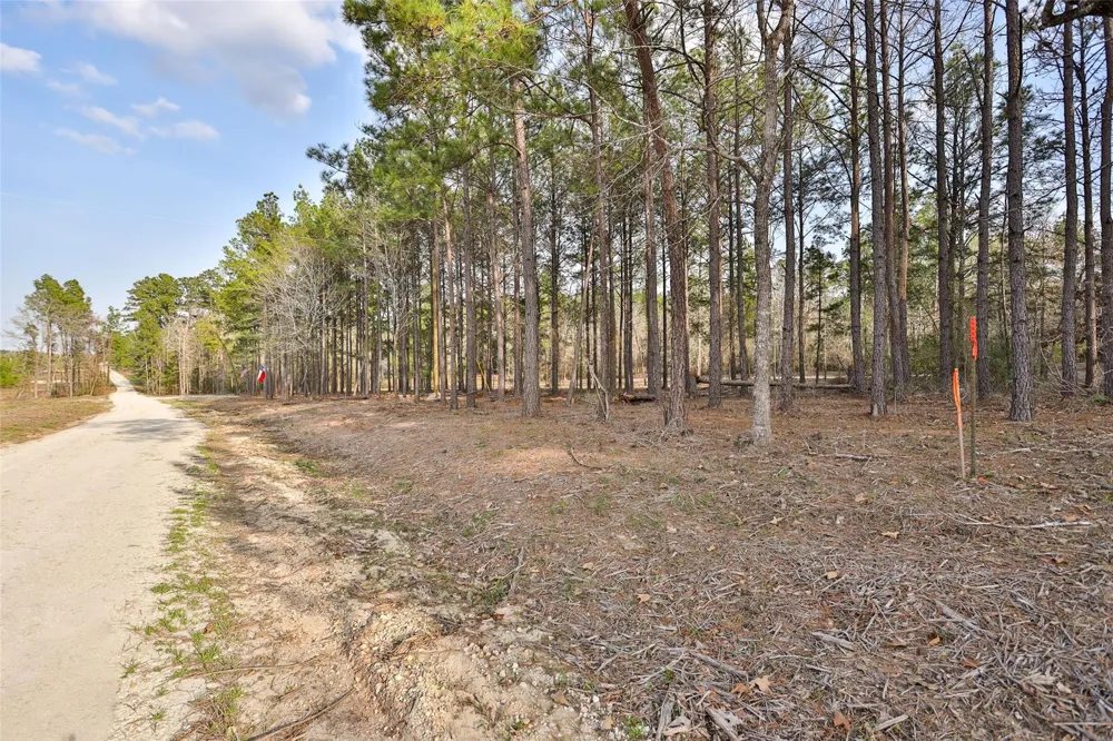 450 Williamson Way Way Lovelady, TX 75851