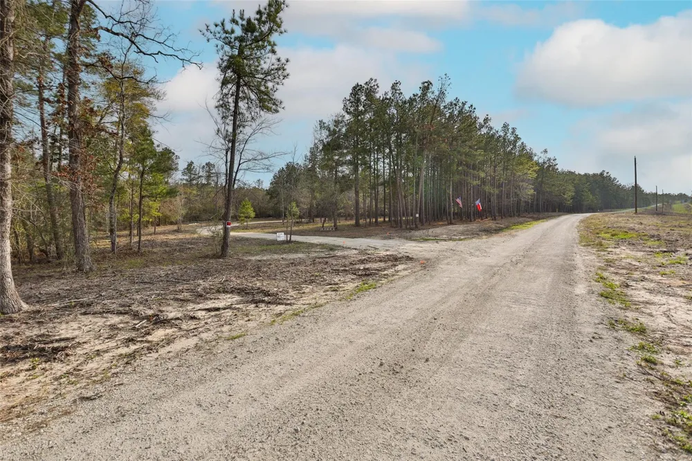 450 Williamson Way Way Lovelady, TX 75851