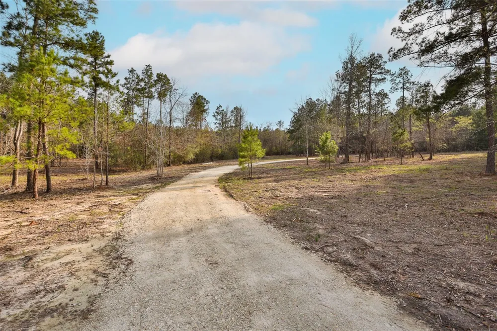 450 Williamson Way Way Lovelady, TX 75851
