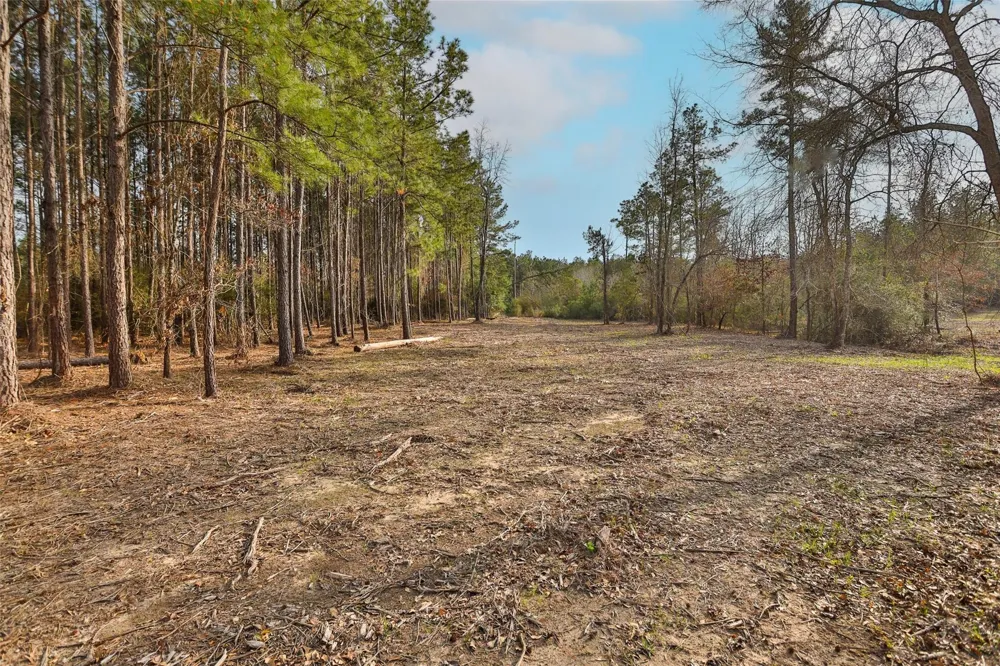 450 Williamson Way Way Lovelady, TX 75851