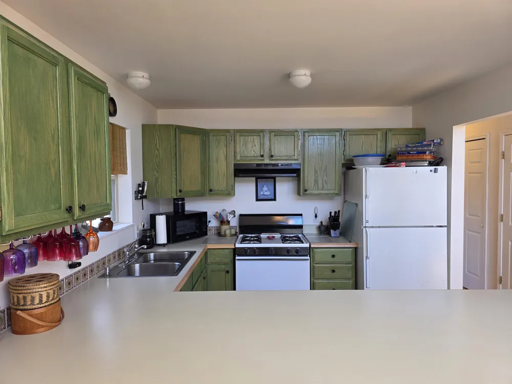 4500 Woodridge Drive Logan Township, MI 48739