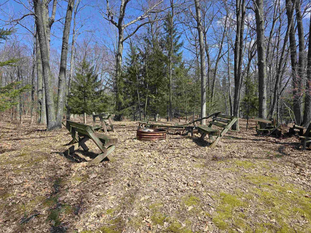 4500 Woodridge Drive Logan Township, MI 48739
