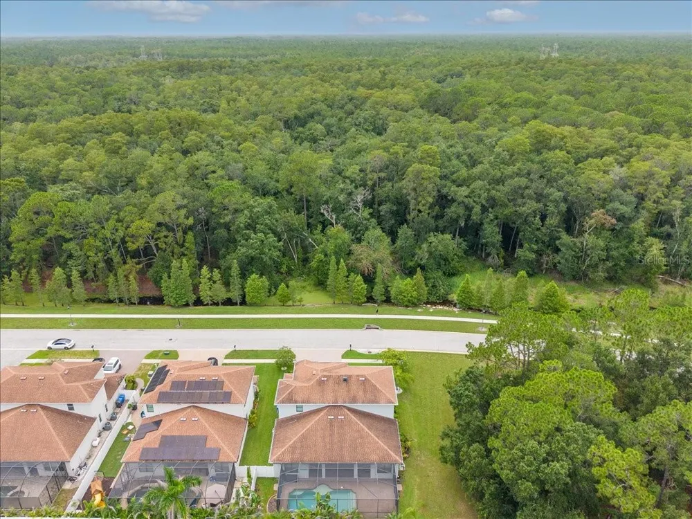 13008 EAGLES ENTRY DRIVE Odessa, FL 33556