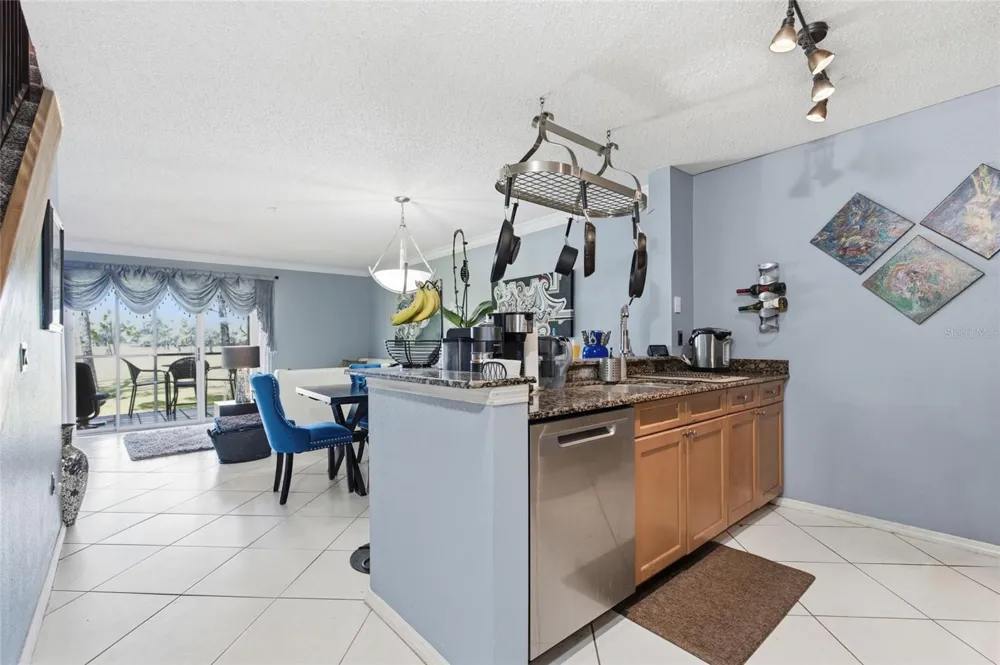 2400 FEATHER SOUND DRIVE #313 Clearwater, FL 33762
