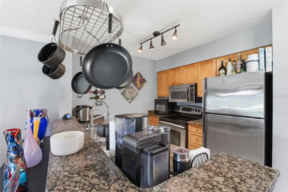 2400 FEATHER SOUND DRIVE #313 Clearwater, FL 33762