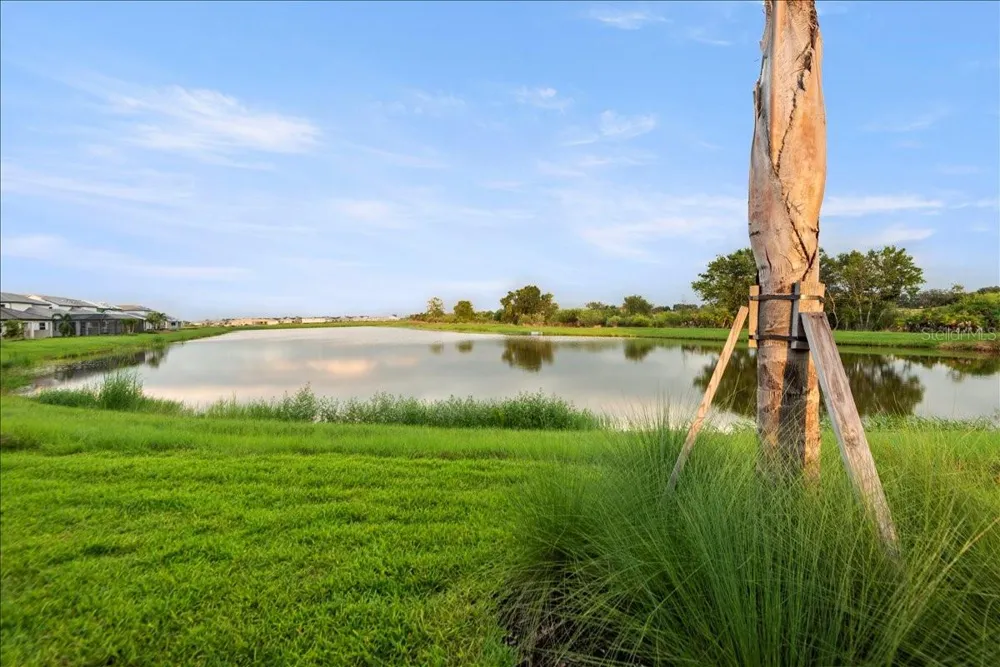 17703 SAVORY MIST CIRCLE Lakewood Ranch, FL 34211