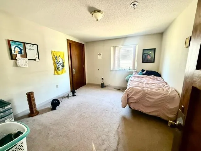 202 Cass Avenue Springfield, MN 56087