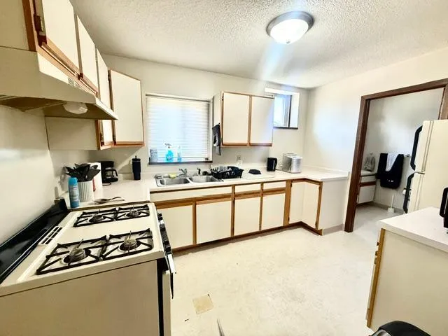 202 Cass Avenue Springfield, MN 56087