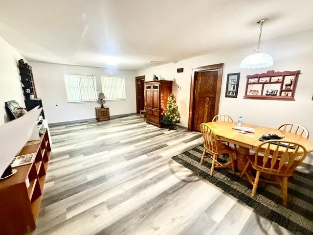 202 Cass Avenue Springfield, MN 56087