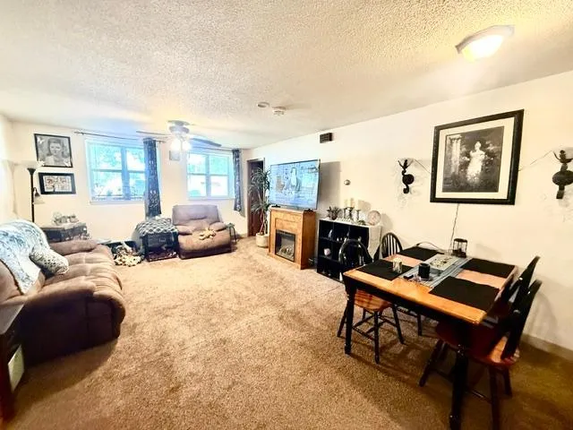202 Cass Avenue Springfield, MN 56087