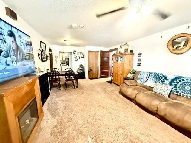 202 Cass Avenue Springfield, MN 56087