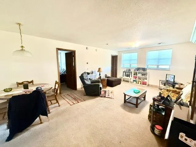 202 Cass Avenue Springfield, MN 56087