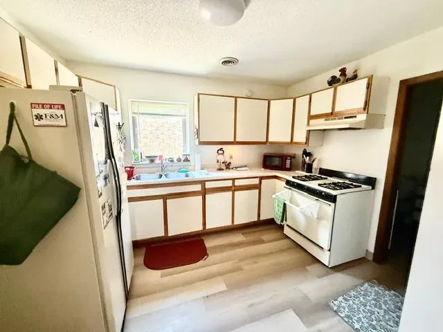 202 Cass Avenue Springfield, MN 56087