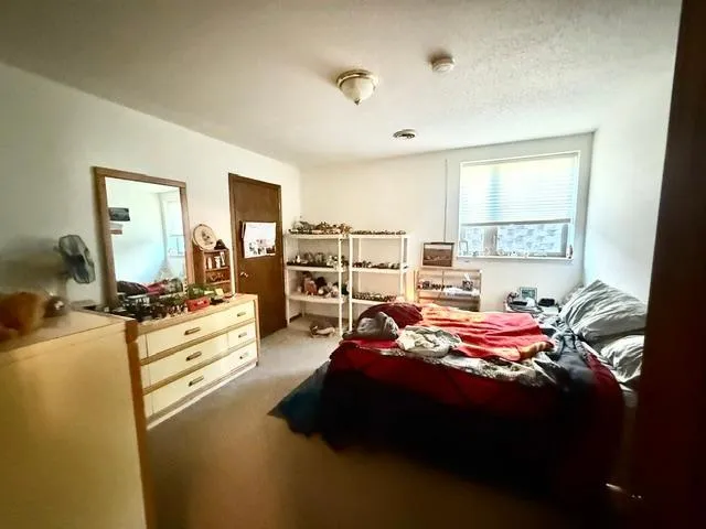 202 Cass Avenue Springfield, MN 56087