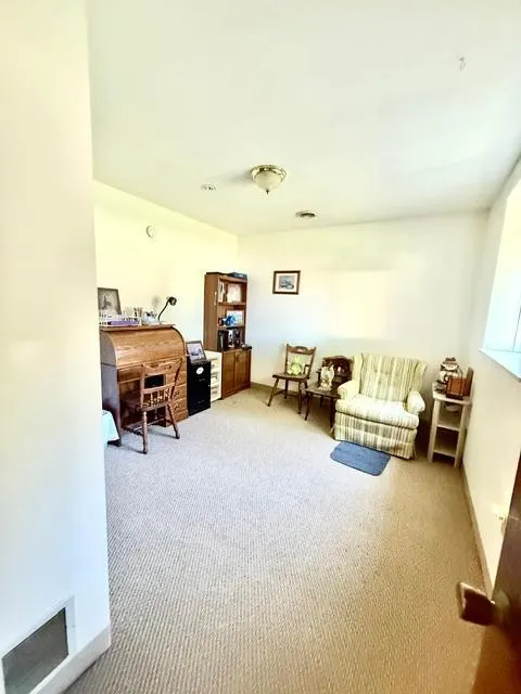 202 Cass Avenue Springfield, MN 56087