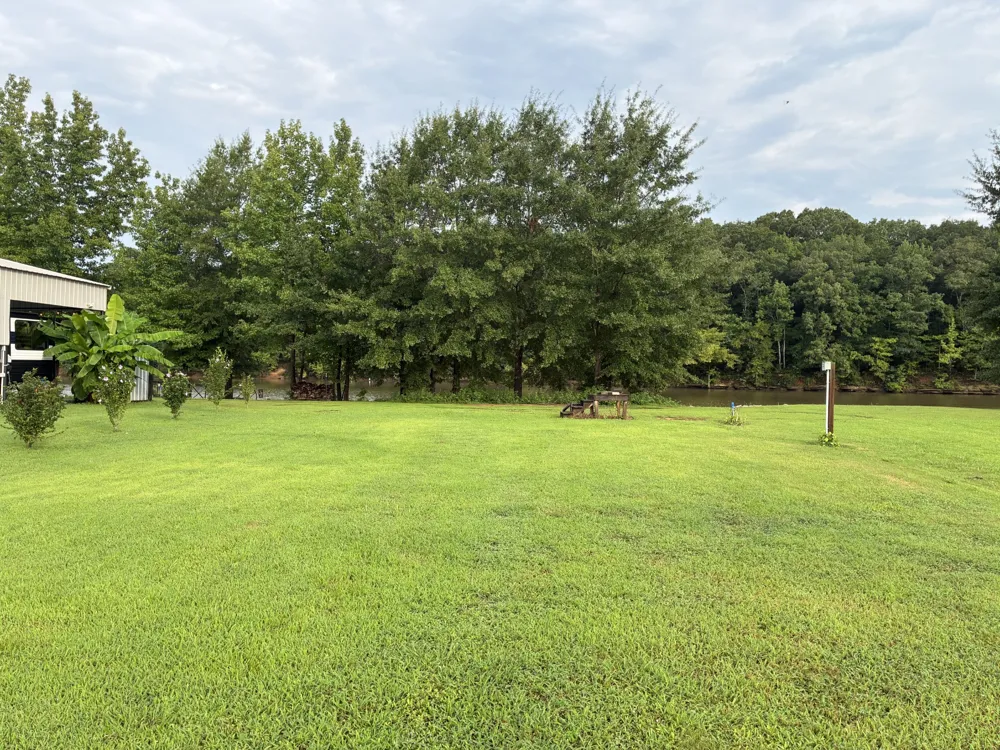 0 D D S Cv Decaturville, TN 38329