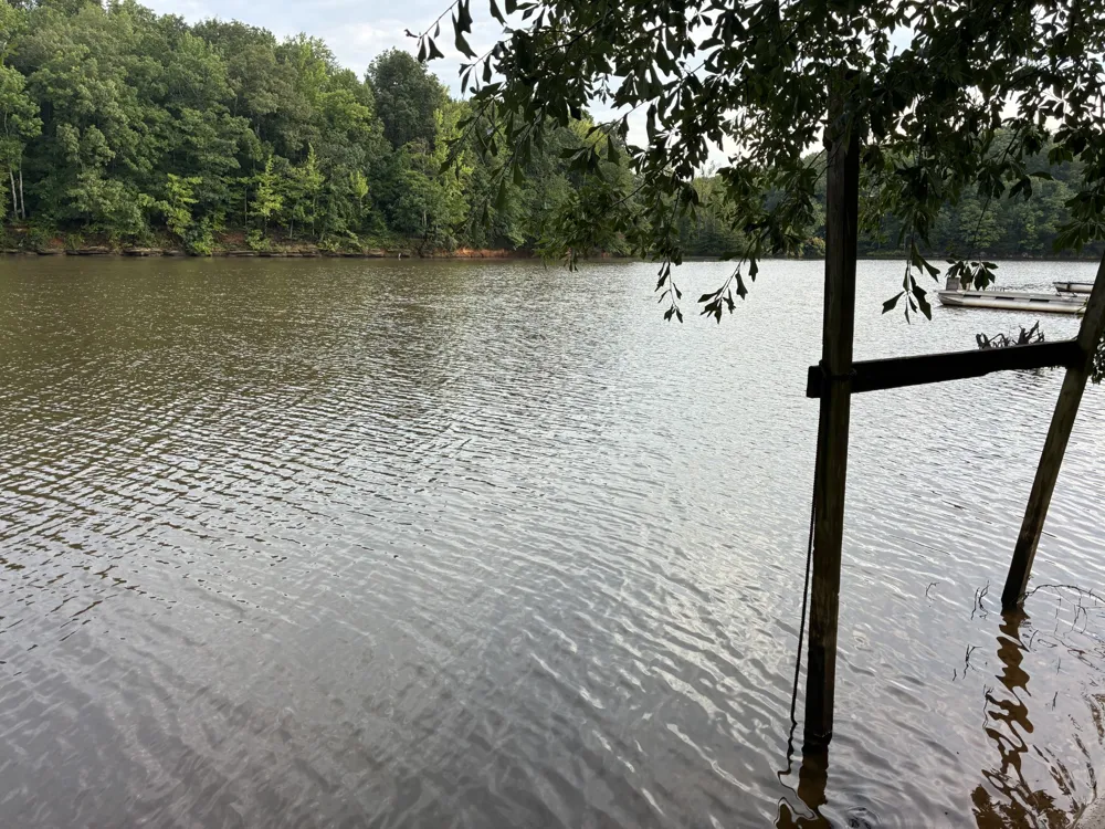 0 D D S Cv Decaturville, TN 38329