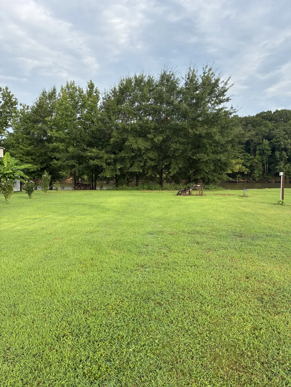 0 D D S Cv Decaturville, TN 38329