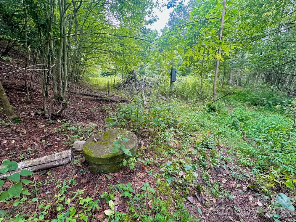 TBD old anderson quarry Road Vilas, NC 28692