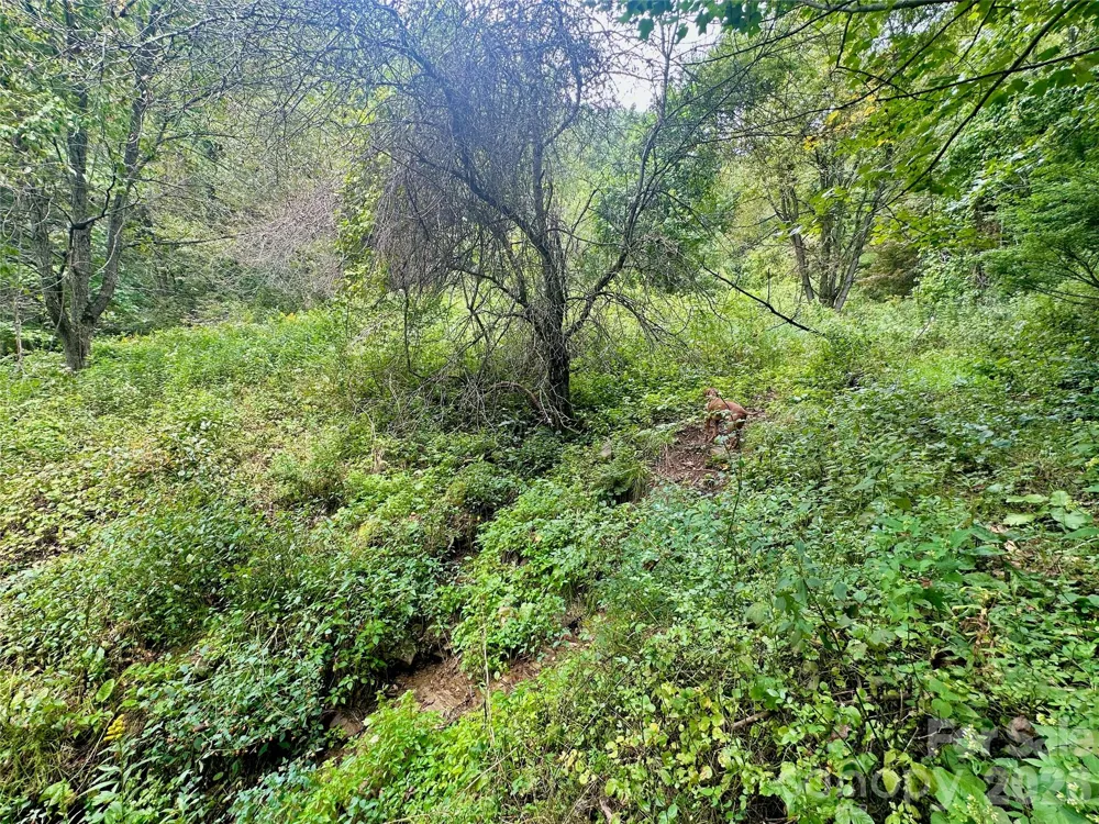 TBD old anderson quarry Road Vilas, NC 28692