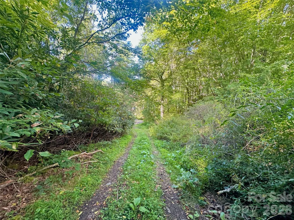TBD old anderson quarry Road Vilas, NC 28692