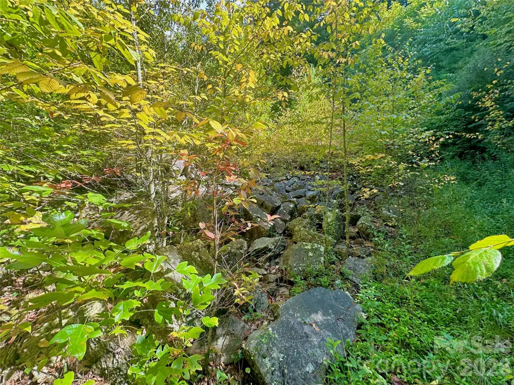 TBD old anderson quarry Road Vilas, NC 28692