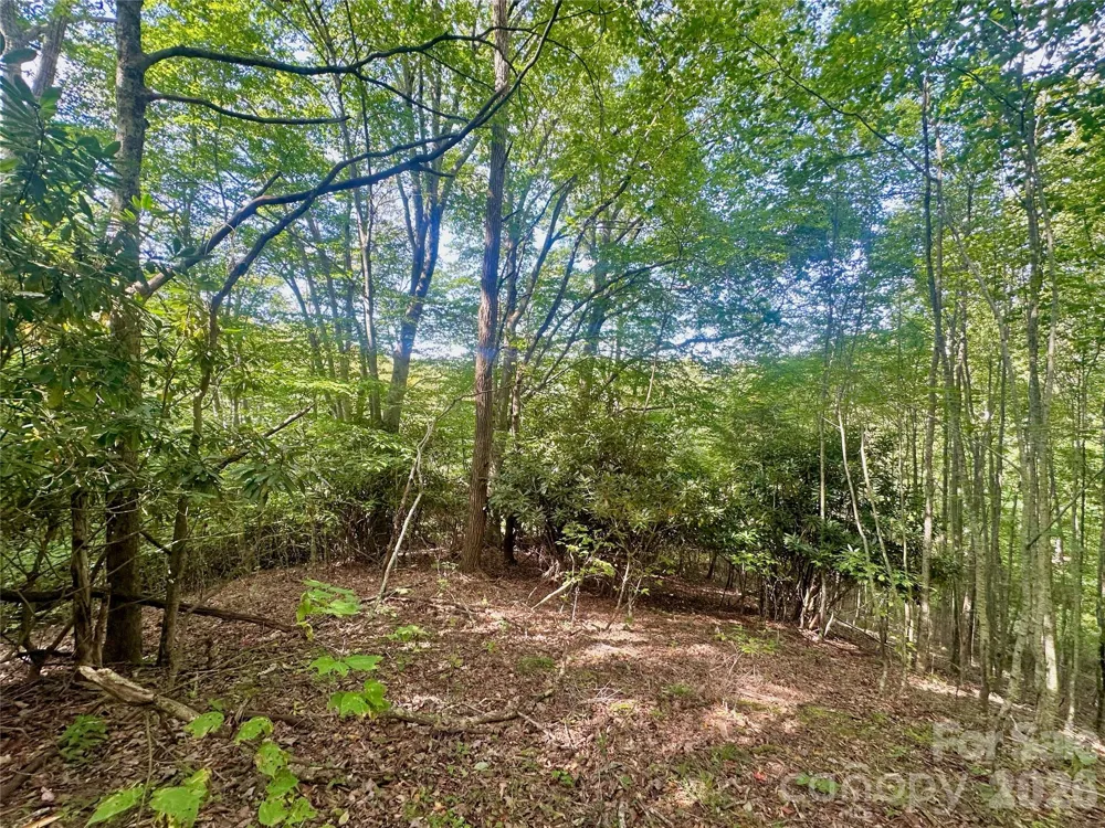 TBD old anderson quarry Road Vilas, NC 28692