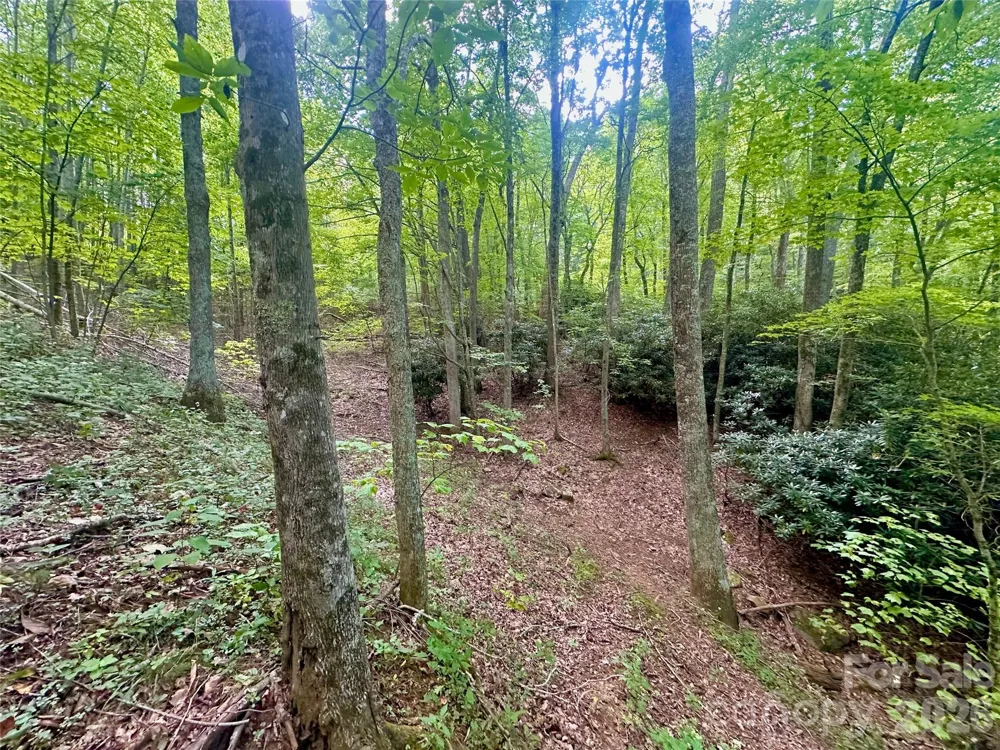 TBD old anderson quarry Road Vilas, NC 28692
